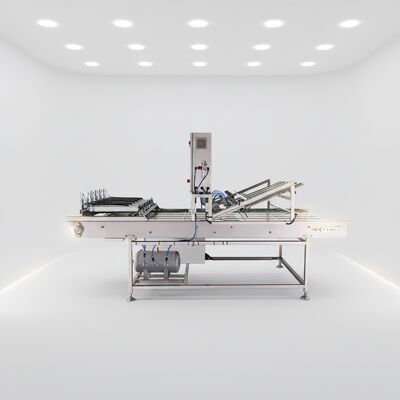 Fabrik-Direktverkäufe Automatisches Kühlconveyor für Zuckerkegel-Produktionslinie