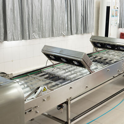 Video Technical Support Marshalling Cooling Conveyor Providing Comprehensive Solutions For Food Processing