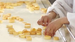 Automatische scharfe Shell Production Line